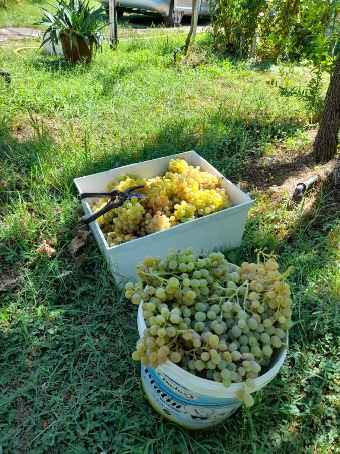 Chateau Sukaj